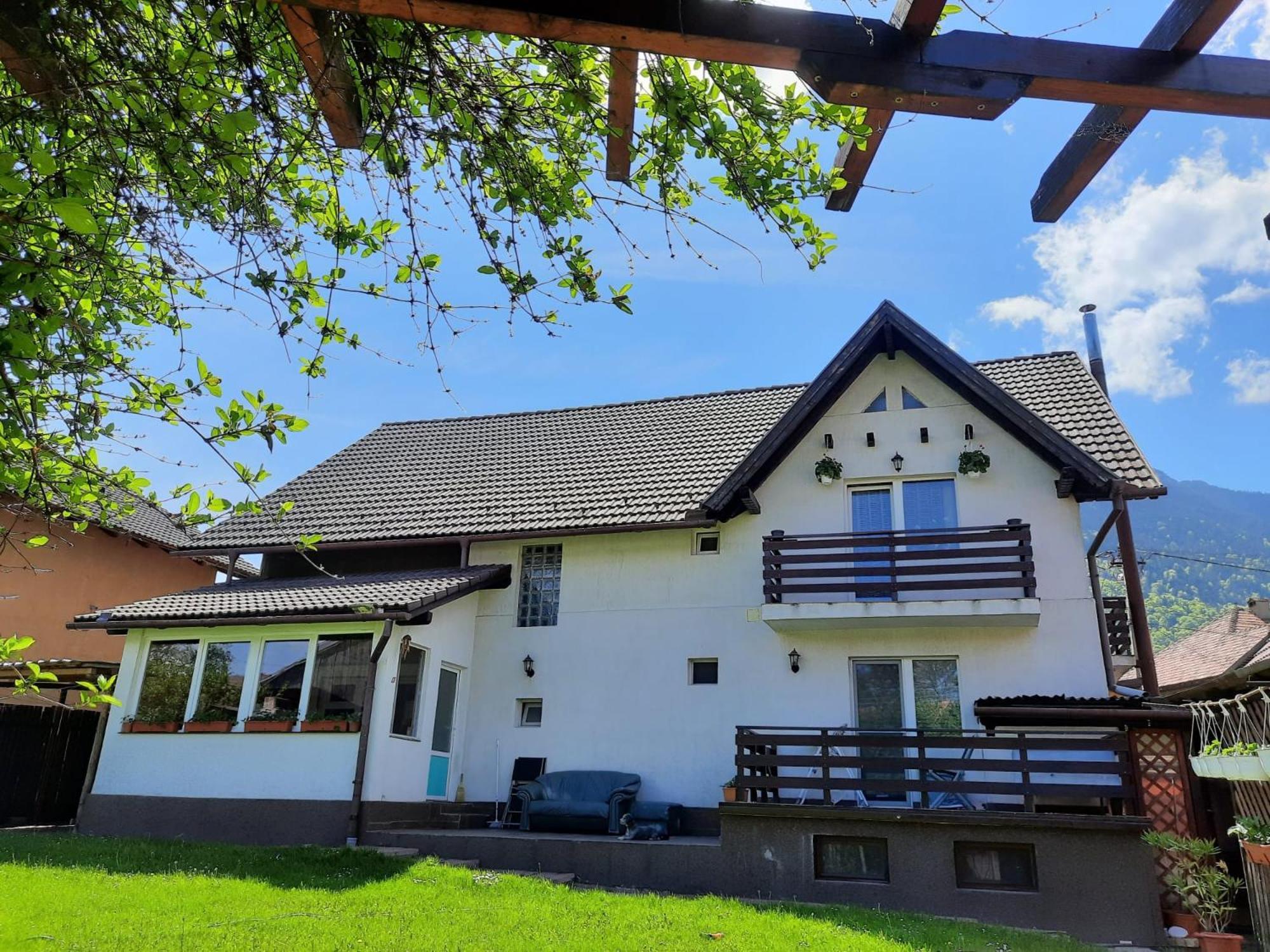 Апартаменти Edelweiss Ilinca Зернешті Екстер'єр фото